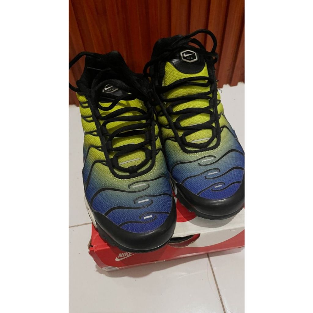 Nike Air Max Plus TN GS