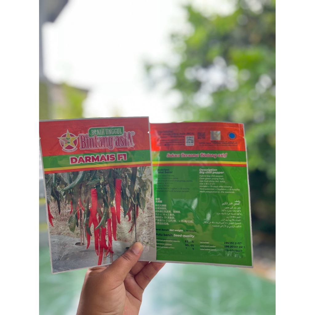 Benih Cabai Besar Darmais F1 Bintang Asia | Bibit cabe besar Darmais F1 Bintang Asia