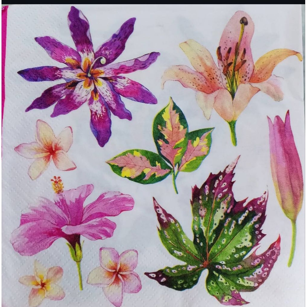 Tissue Decoupage Eropa