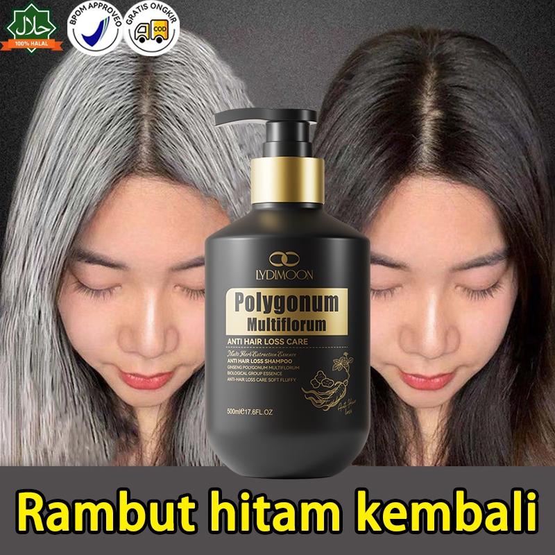 Shampo Penghilang Uban Permanen Penghitam Black Shampoo Sampo serum herbal 500ml Mengubah rambut put