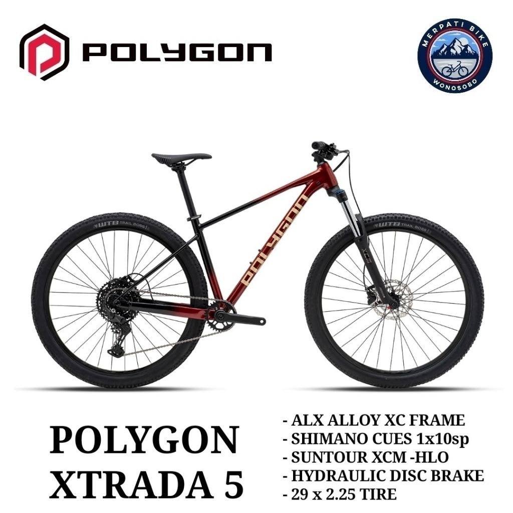 Polygon Xtrada 5