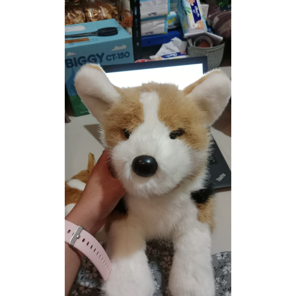 Boneka rubah putih cream douglas