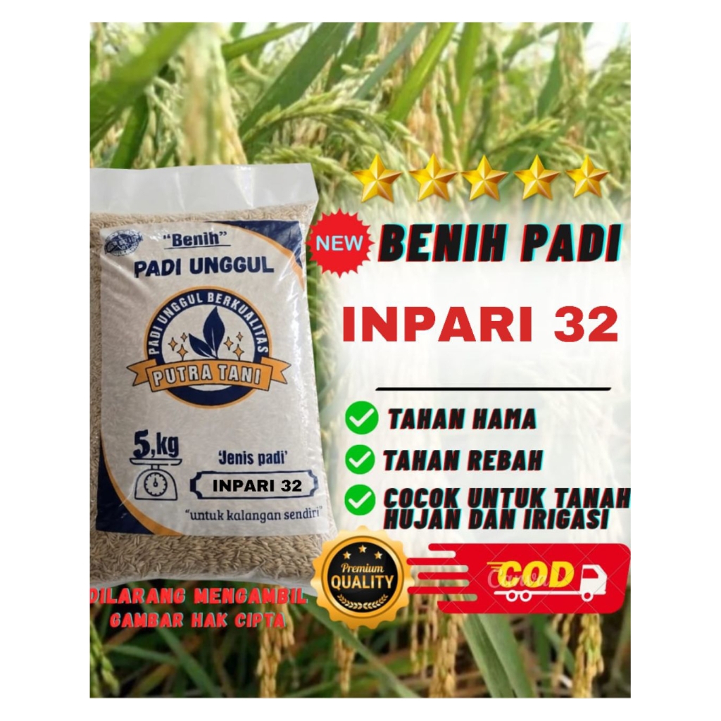 Benih Padi Unggul INPARI 32,Kemasan 5kg kualitas jumbo premium
