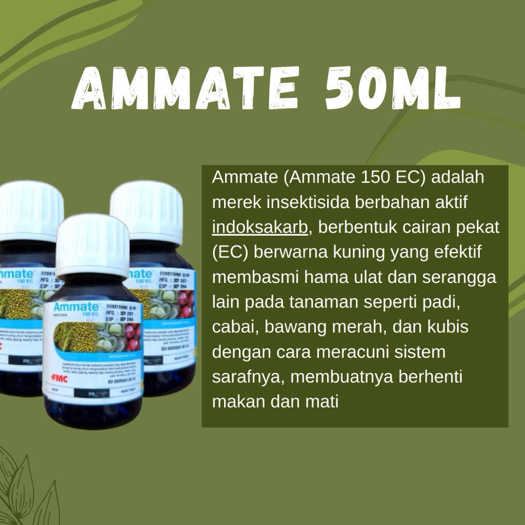 INSEKTISIDA AMMATE 50ML