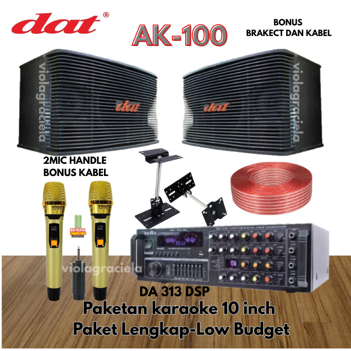 PAKET SPEAKER KARAOKE DAT AK 100 MURAH MERIAH PAKET LENGKAP DENGAN MIC WIRELESS,AMPLIFIER 10INCH