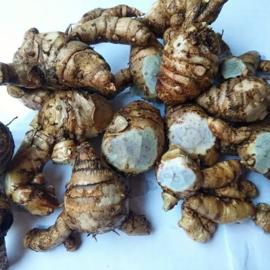 jual temu ireng/temu hitam 1 kg / jual temu ireng/temu hitam 1 kg (promo)