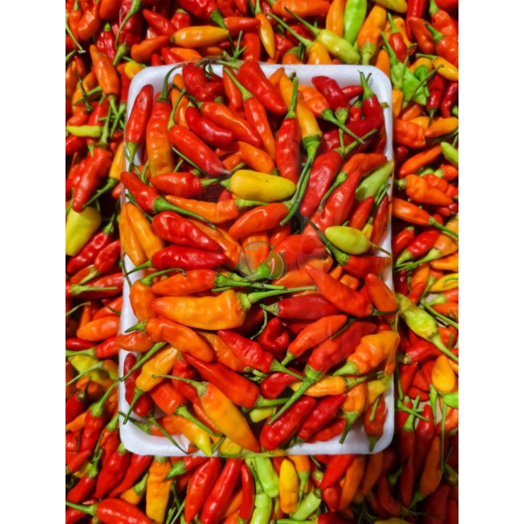 CABAI RAWIT LOKAL 500gr