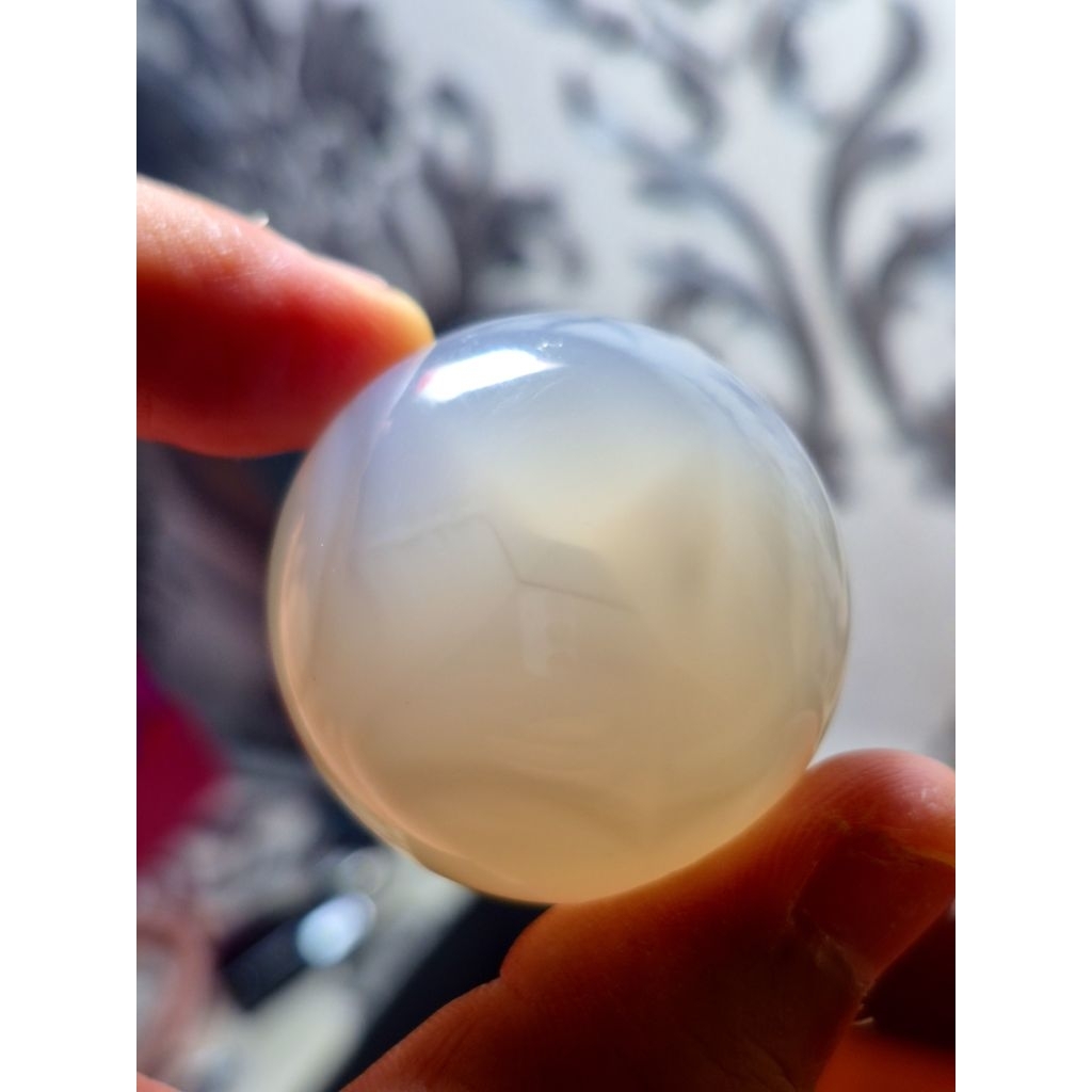 Natural batu akik cimpago tapak jalak jumbo