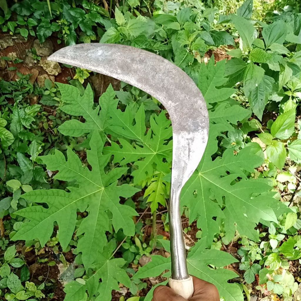 Arit rumput tajam berkualitas asli pende madura bahan baja isen