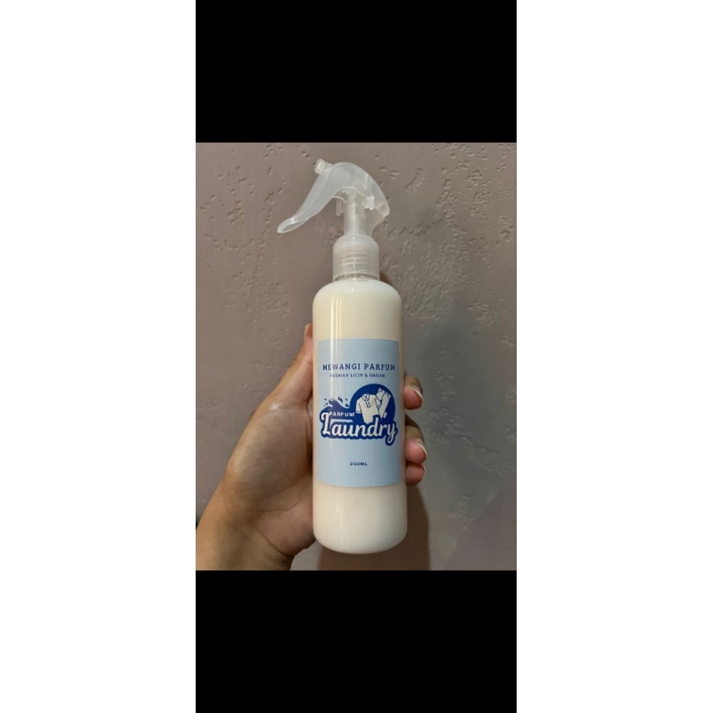 Paket Usaha Loundry dan Linen