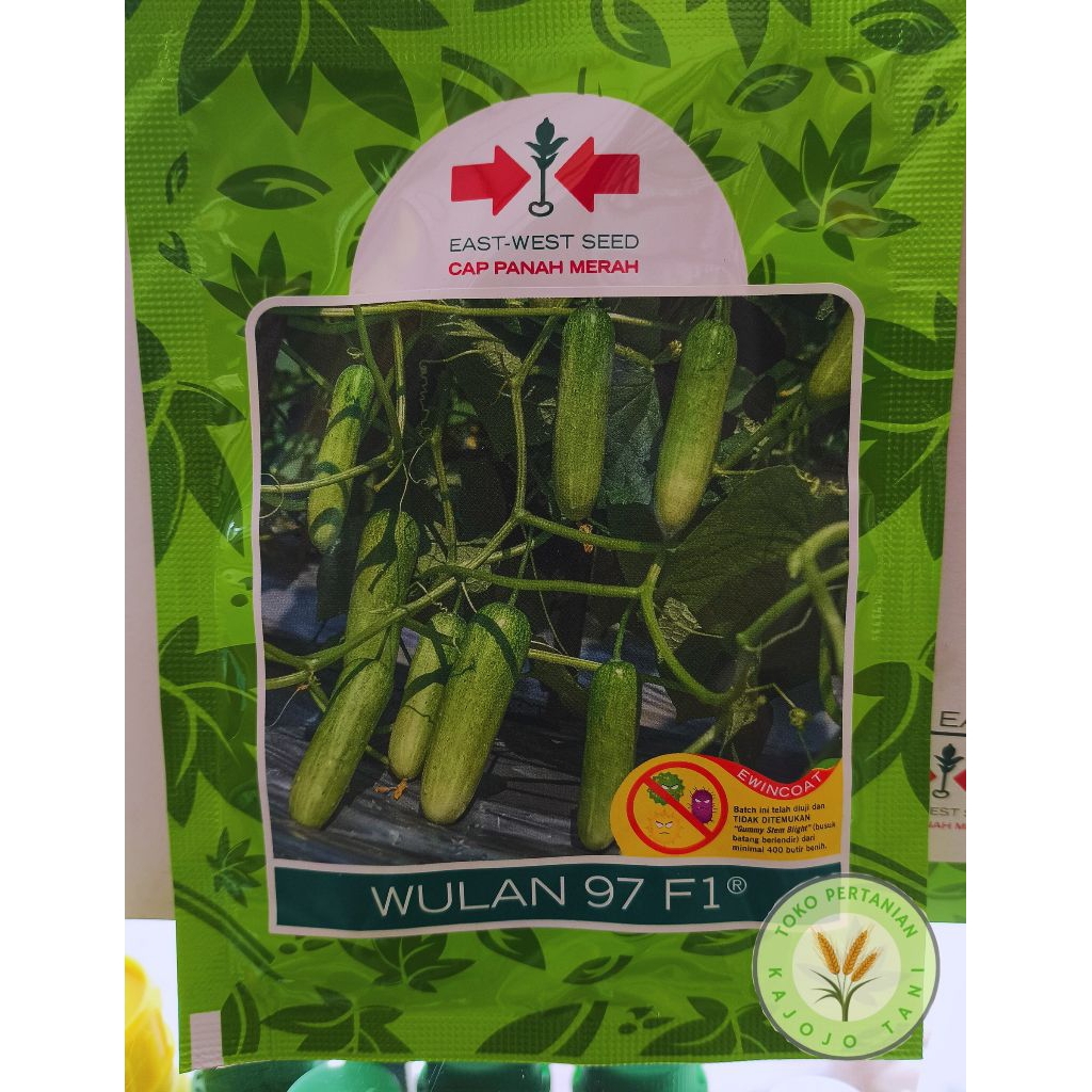 BENIH TIMUN WULAN 97 F1® CAP PANAH MERAH