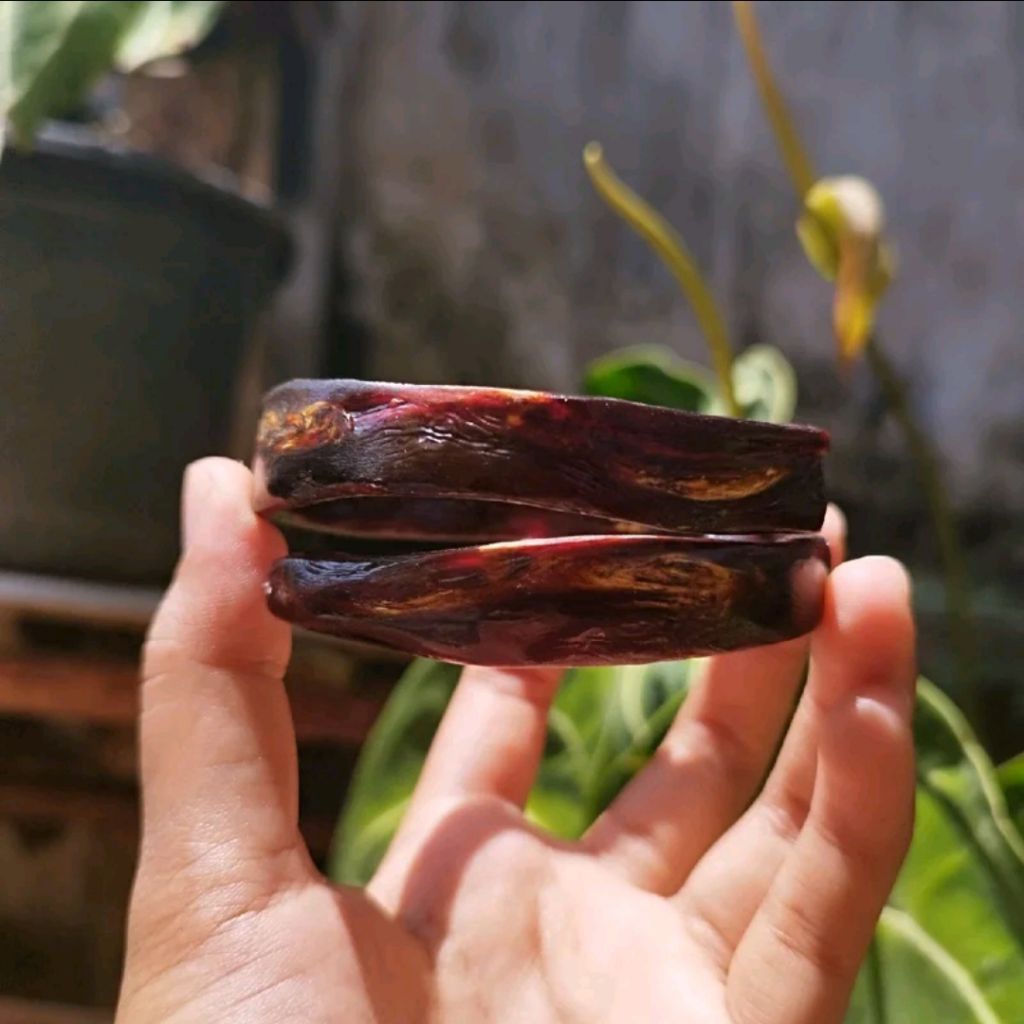 Gelang Akar Bahar Merah Cristal Asli Original