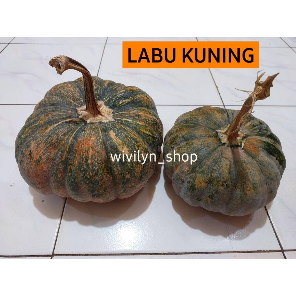 LABU KUNING/LABU KUNING UTUH/LABU KUNING TUA