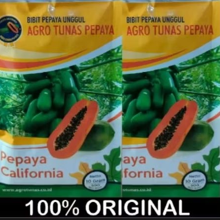Benih unggul pepaya california AGRO TUNAS PEPAYA 500 biji