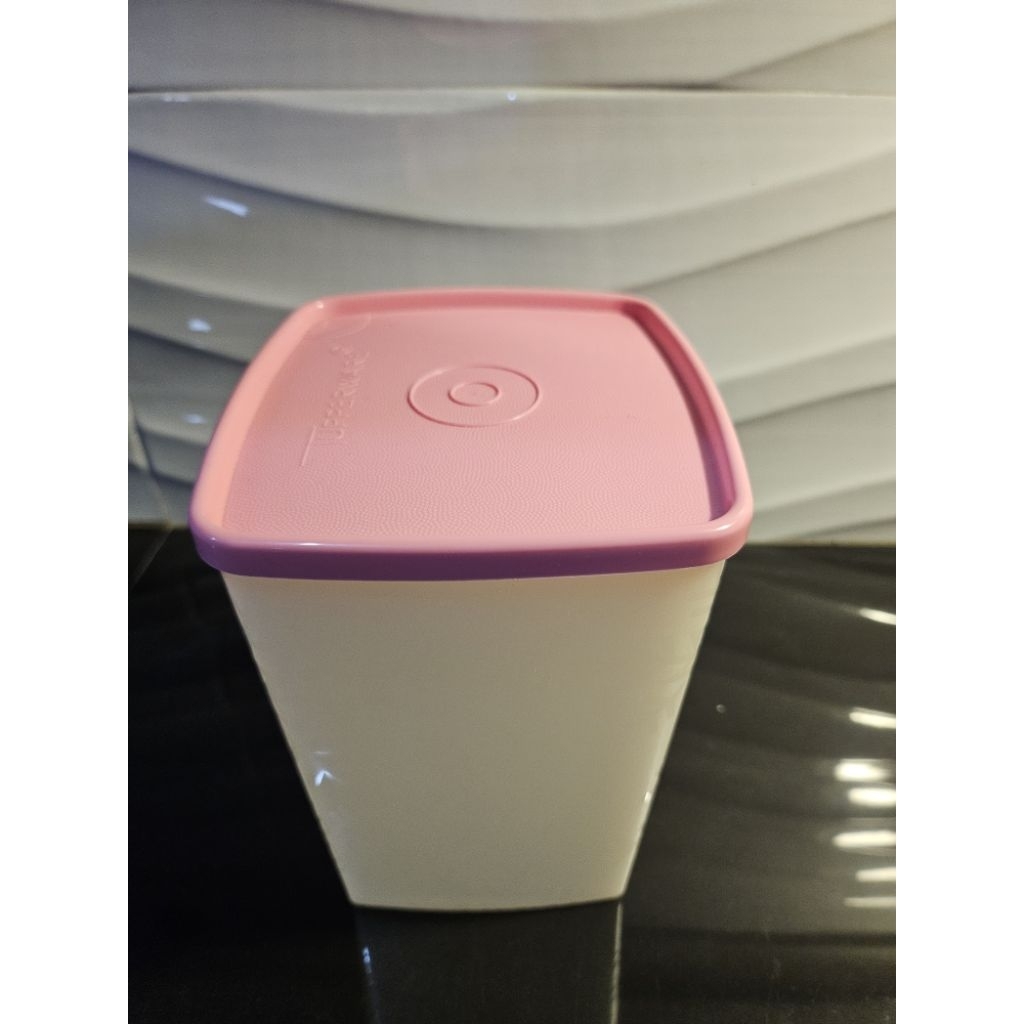 Tall square round frozen tupperware