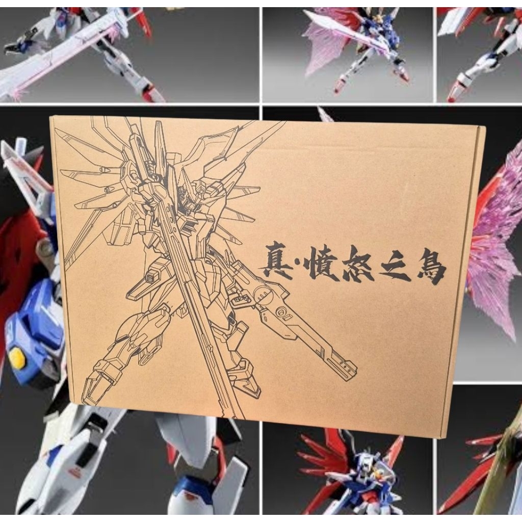 Angry Shinn Asuka 1/144 Destiny (metal robot style)