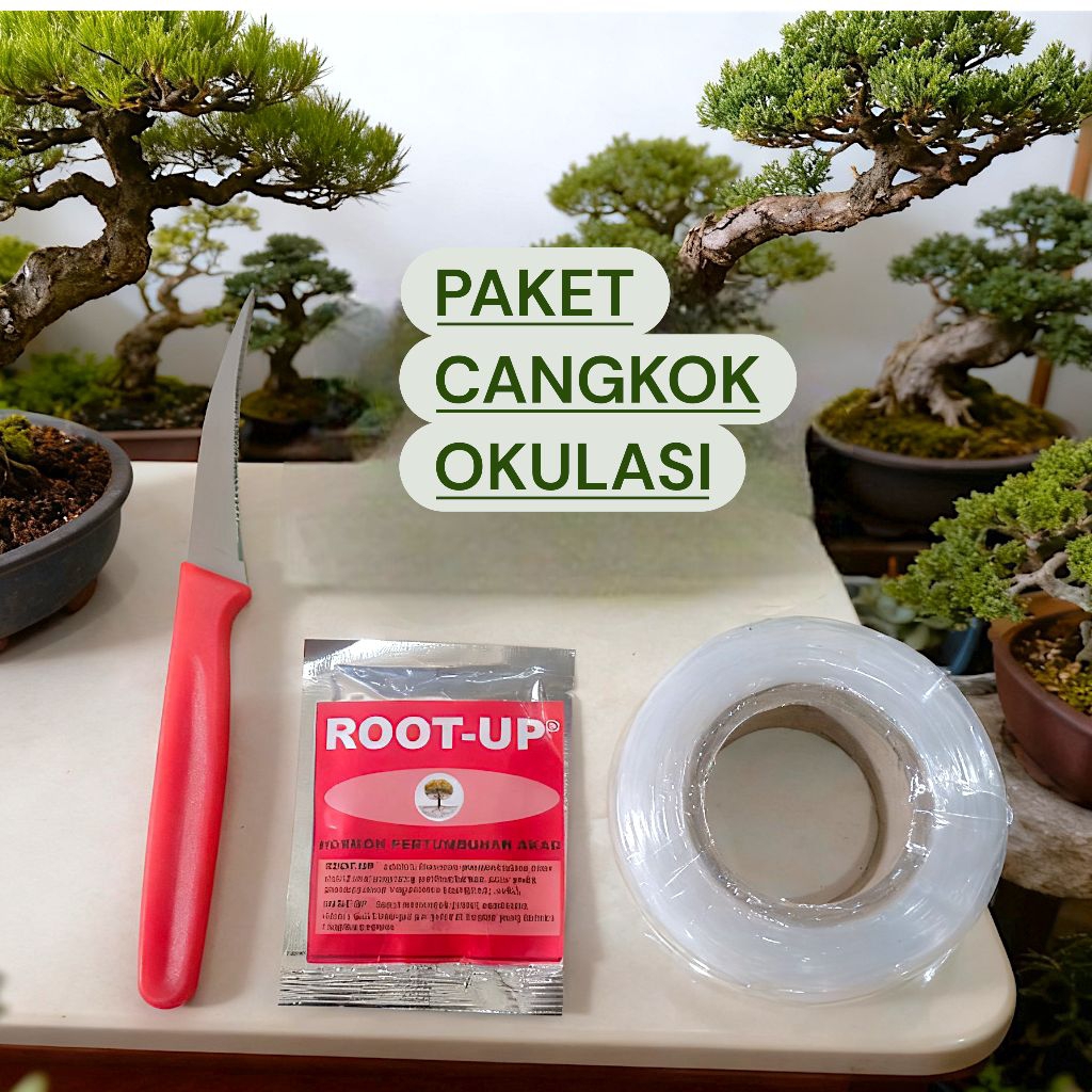 3 Pcs Grafting Tape Okulasi Cangkok Root Up Penhuat Akar