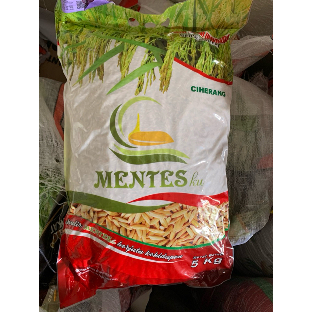 Bibit Padi Ciherang Mentes 5 Kg PREMIUM QUALITY – Benih Padi Unggul Produksi Tinggi