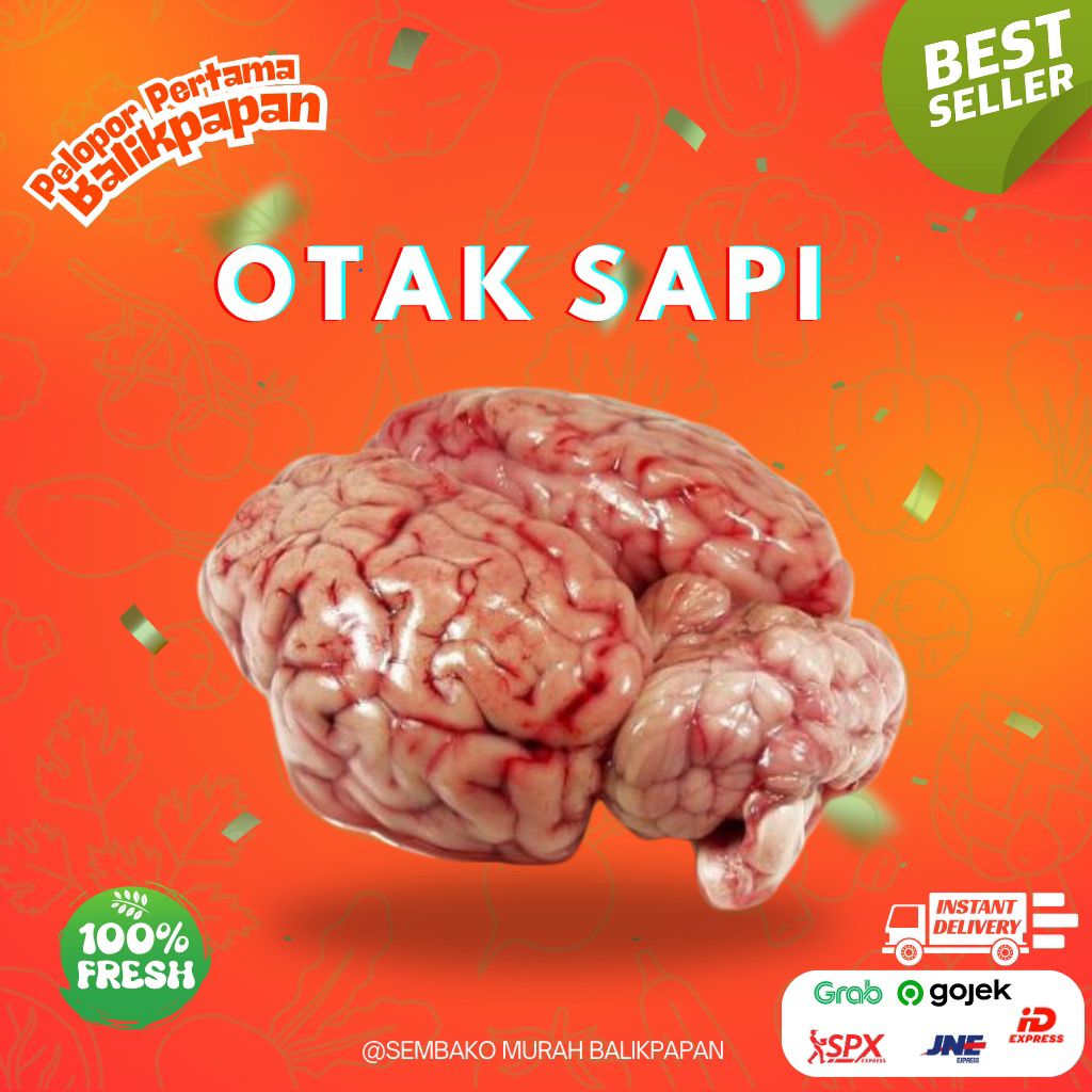 Otak Sapi Fresh