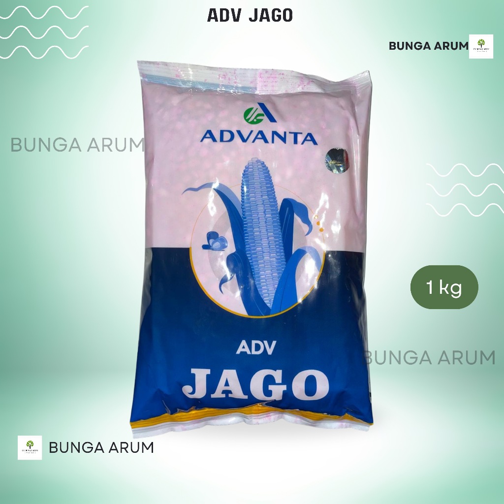 Benih Jagung Hibrida Adv Jago 1kg Asli Ori