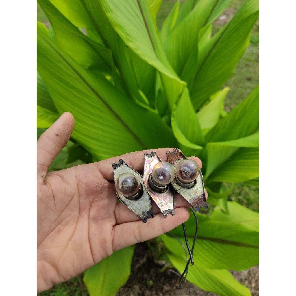 piting lampu sein gl 100 bulat 79 original