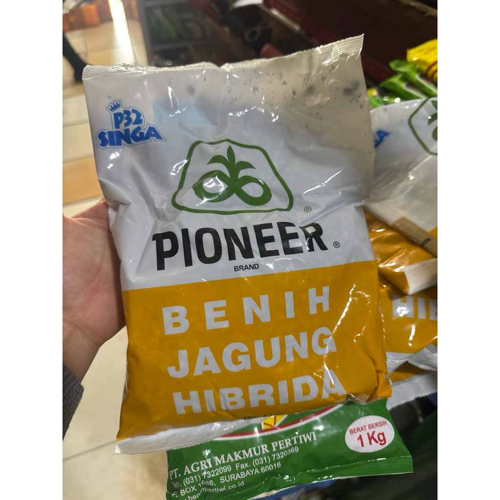 jagung pioner p32