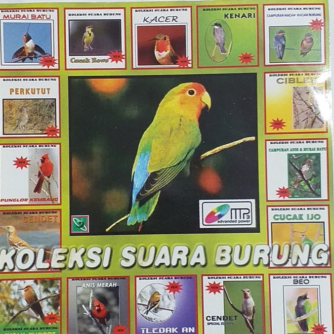 Kaset MP3 Suara Kicau Burung Koleksi Suara Burung Terlengkap