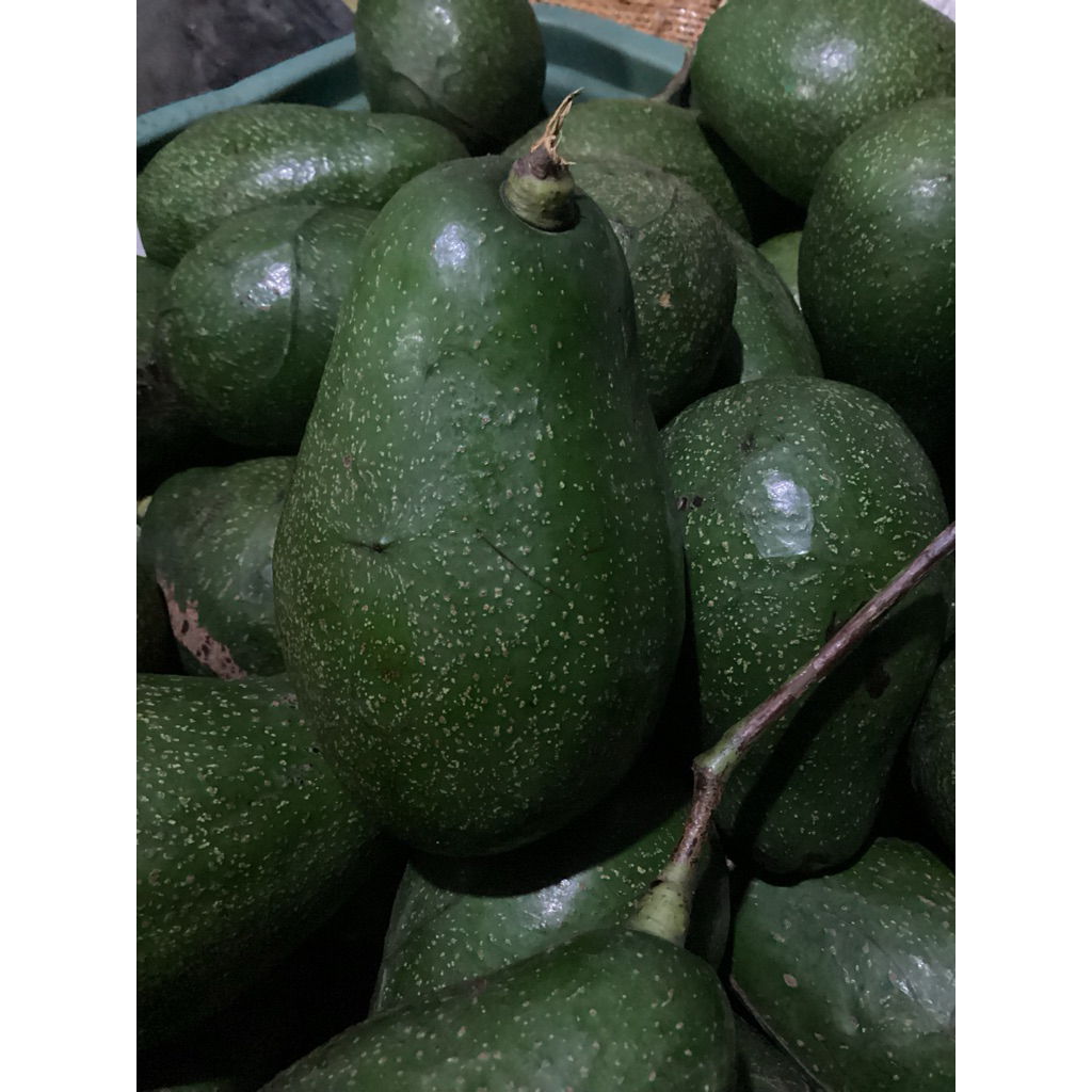 Alpukat 2kg isi 10-11