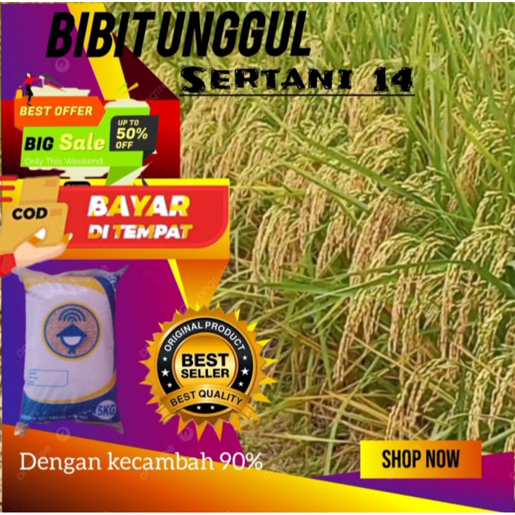 BIBIT GALUR SERTANI 14 ISI 5KG