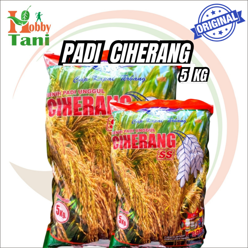 Benih Padi CIHERANG SS 5 Kg Cap Kapal Terbang Asli Kemasan Pabrik