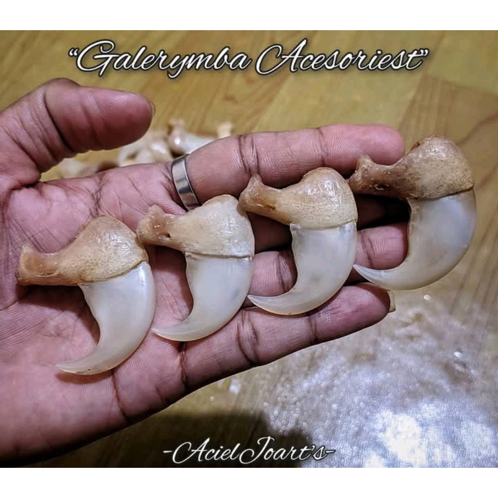 liontin kuku hm original