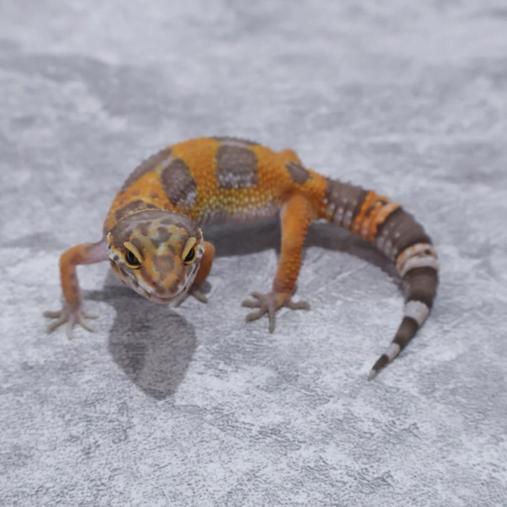 Figur Gecko Tangerine Tremper