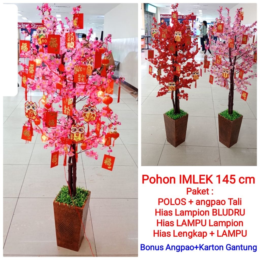 Pohon bunga imlek meihua sincia angpao sakura besar tinggi murah