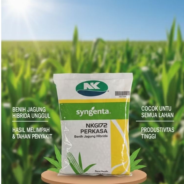 Benih jagung NK Perkasa benih jagung hibrida original syngenta