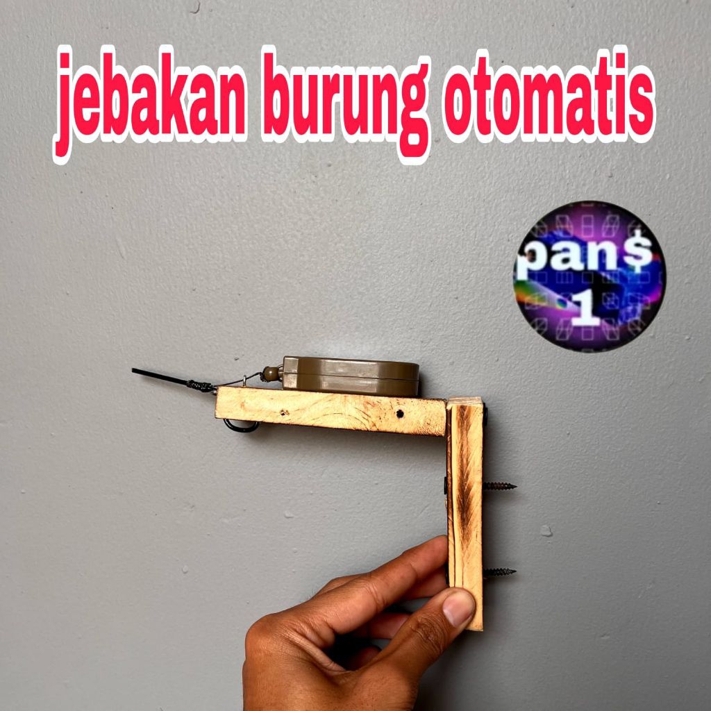 jebakan burung otomatis pakai kayu