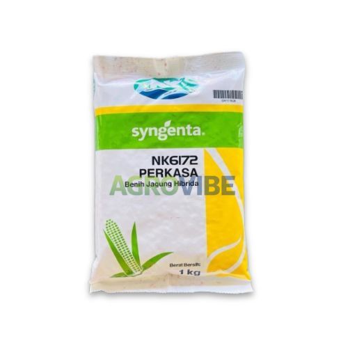 RAJANYA JAGUNG!! Benih Bibit Jagung Hibrida NK 6172 PERKASA 1 KG ORIGINAL KEMASAN PABRIK ASLI ORIGIN