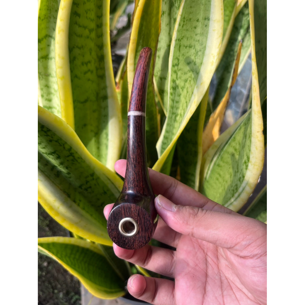 pipa once Rokok cangklong kayu galih asem