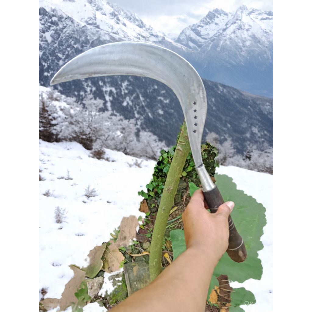 Alat tani tradisional arit pengaritan rumput, padi, jagung, ori bintang lima alat berkebun