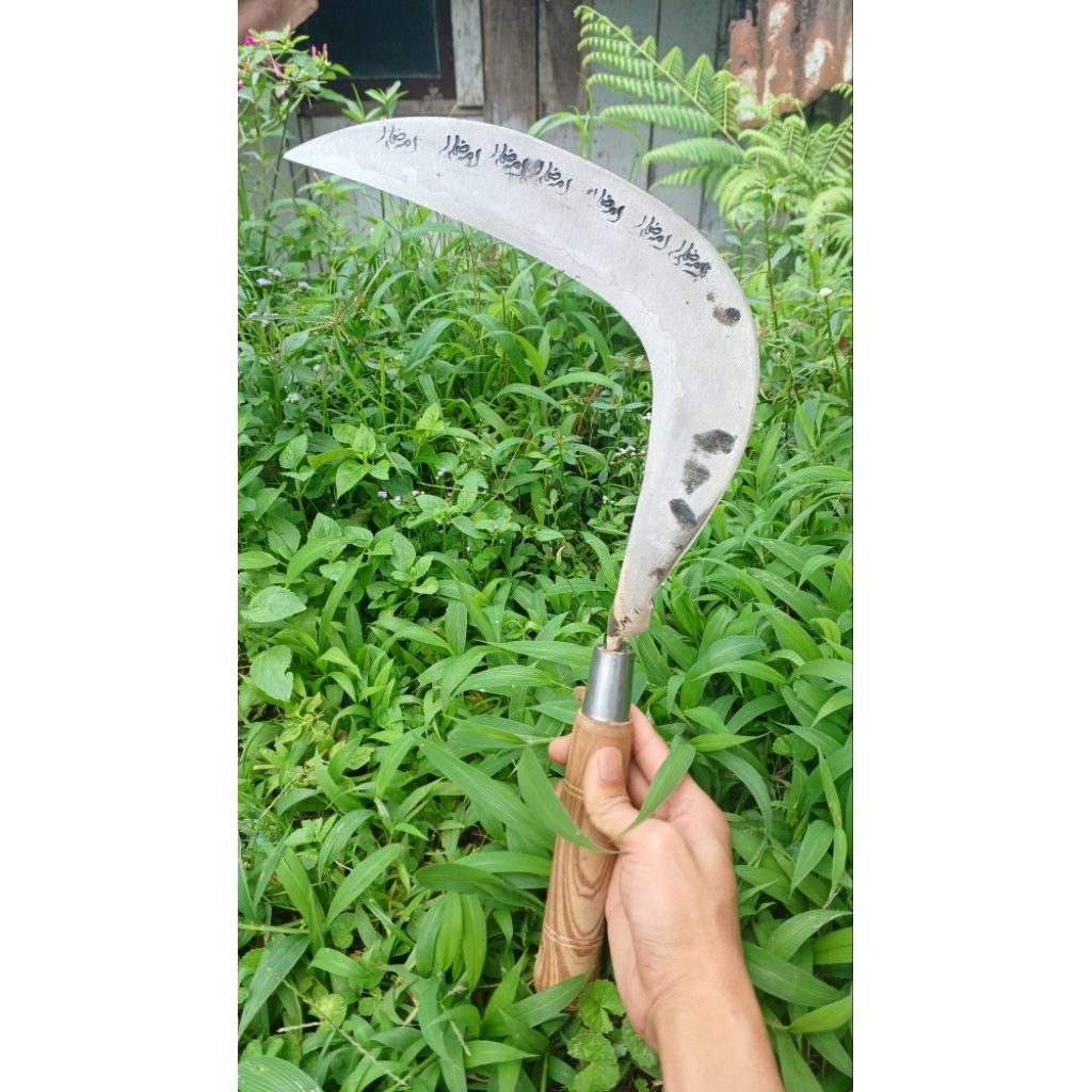 Lukisan Sabit Arit Kawung Baja Selap 5 Super Asah Produk AM19 Wonosobo Super