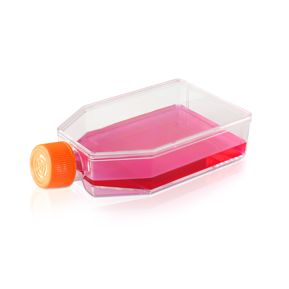 Cell Culture Flask TC Treated Steril T25 T75 T175 Sealed Vented Alat Kultur Sel Laboratorium