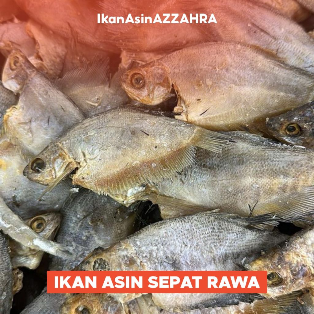 Ikan Asin Sepat Rawa Kalimantan 500gr