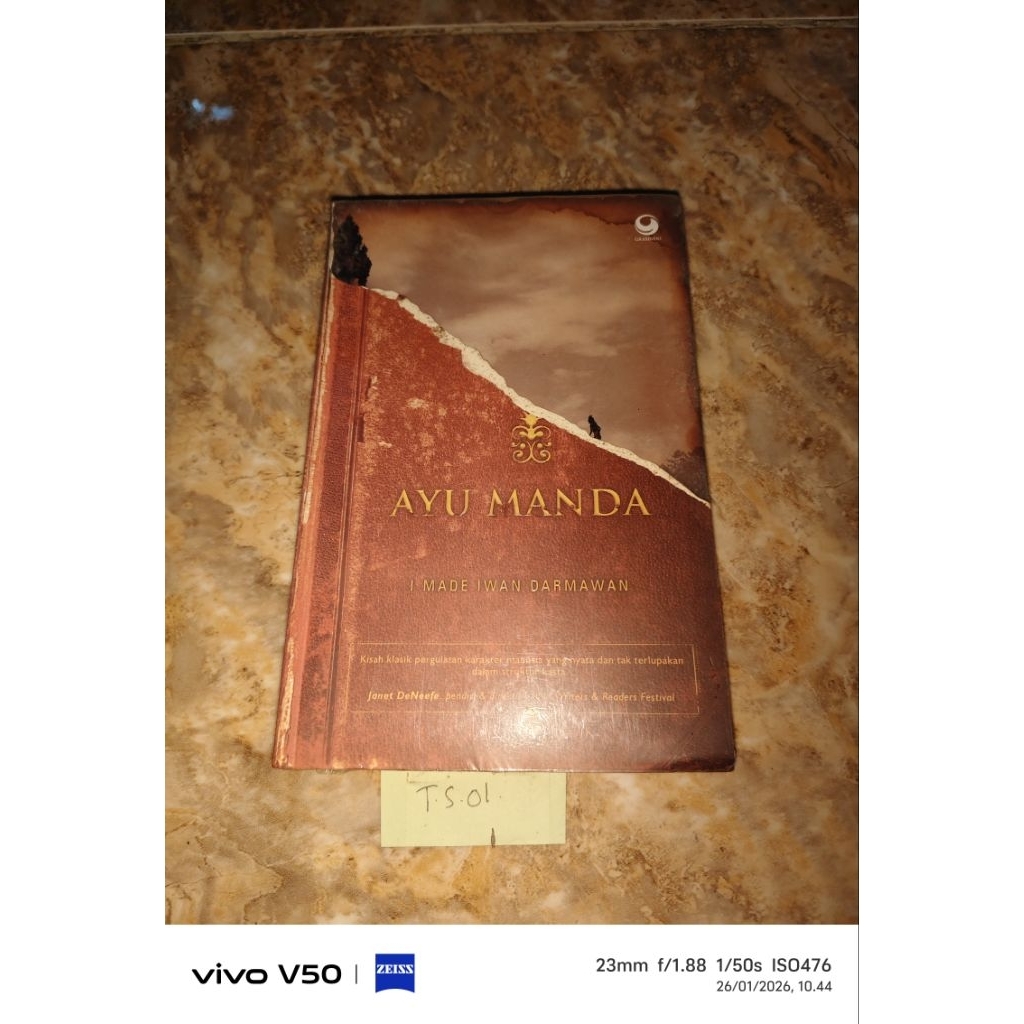 Buku Ayu Manda - I Made Iwan Darmawan