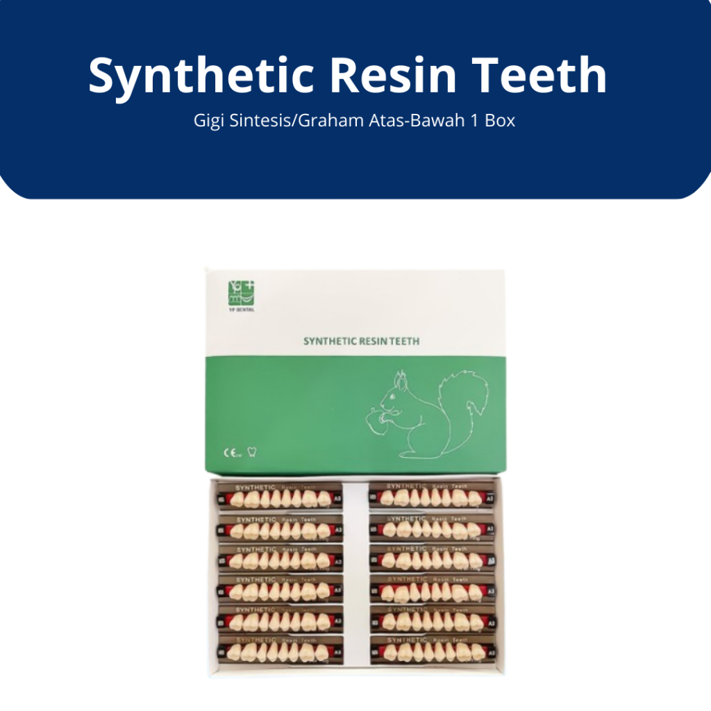 YP Dental - Gigi Sintesis/Synthetic Resin Teeth Graham Atas-Bawah 1 Box