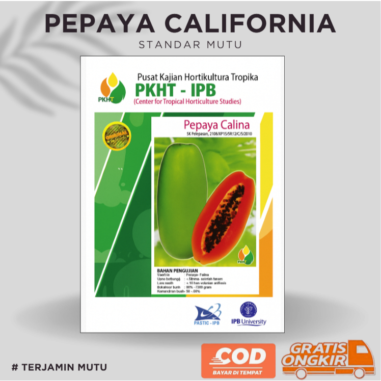 PKHT IPB-9 Pepaya Calina California isi 250 selektif