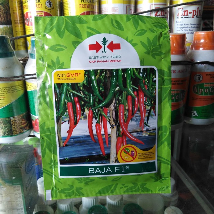 Benih Cabai Besar Baja F1-Cap Panah Merah Berkualitas