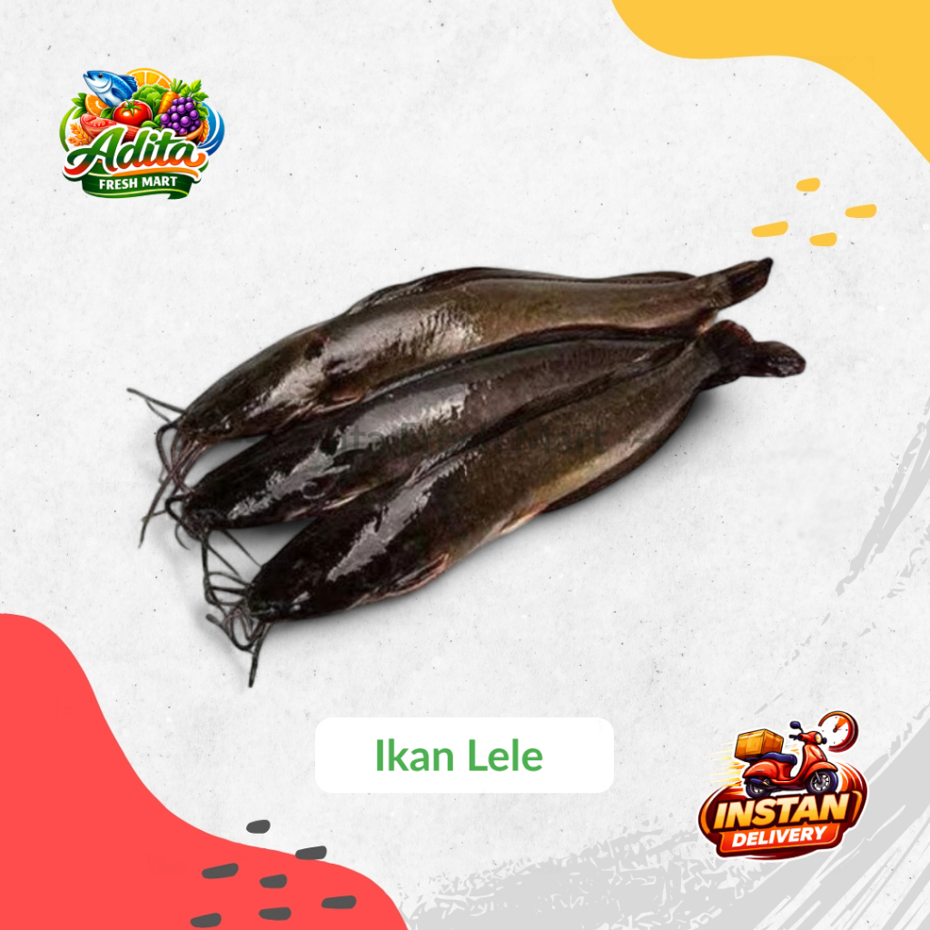 Ikan Lele Fresh Hidup