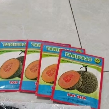 Benih Bibit Melon Top Red F1 isi 500 Butir Kadaluarsa 2027 Terbaru