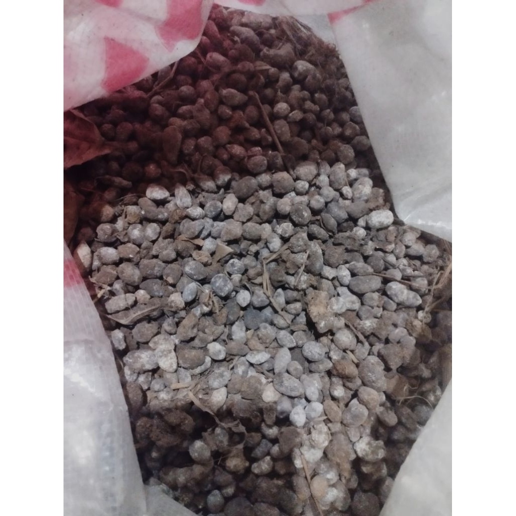 Pupuk Kohe Kambing Bulat Kering Murni