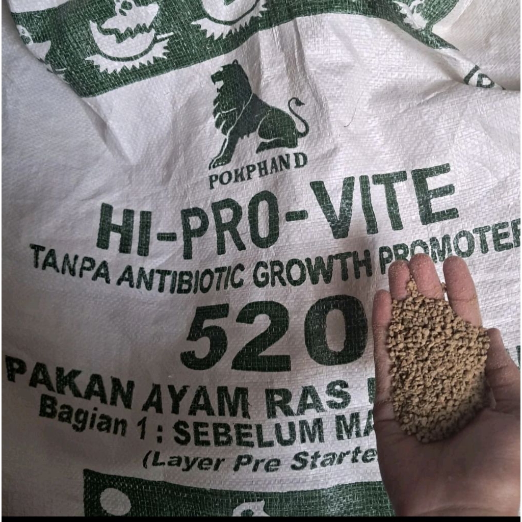 520 hi pro Vite Pur pakan ayam petelur sebelum masa awal