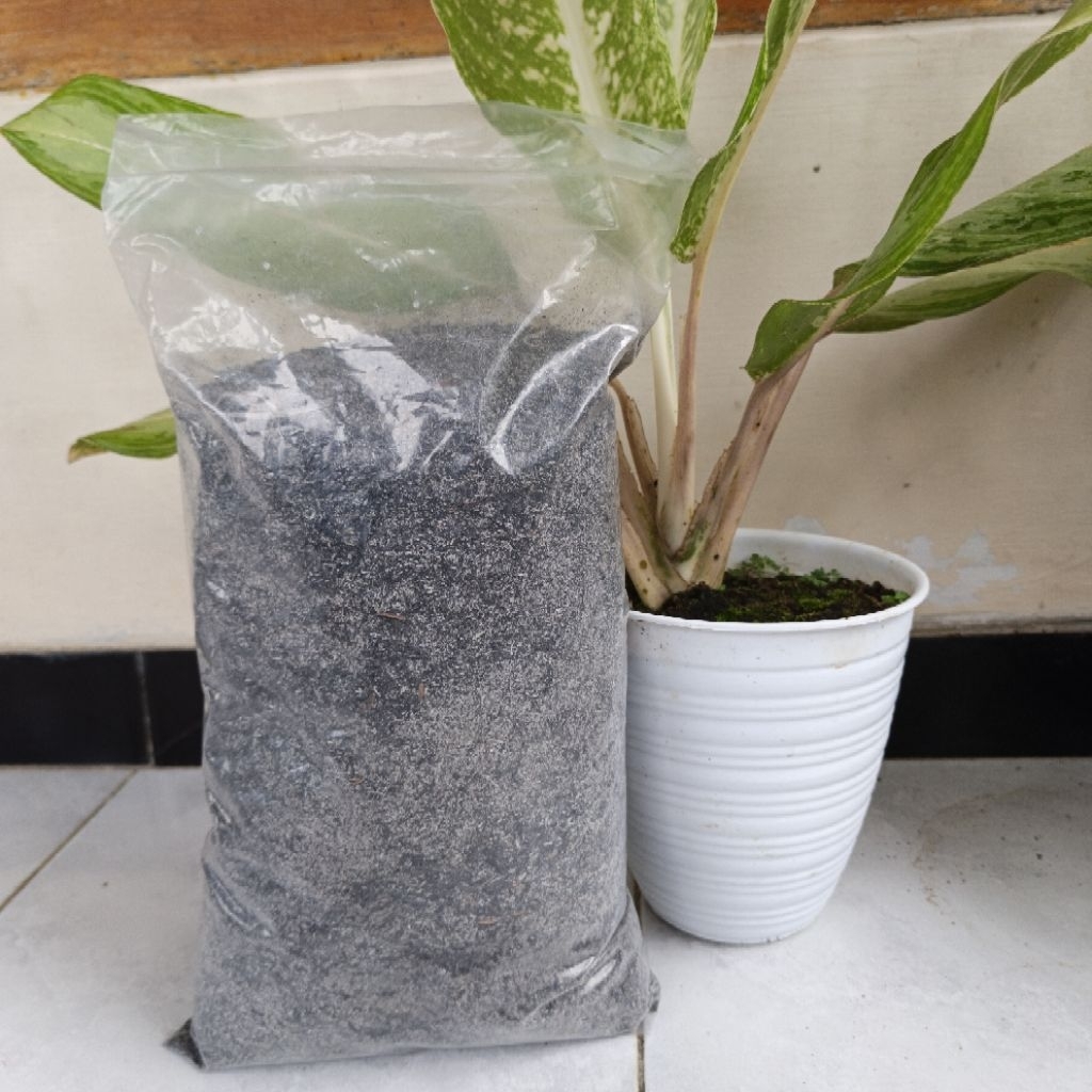 MERANGBUT#SEKAM#SEKAM BAKAR 1KG